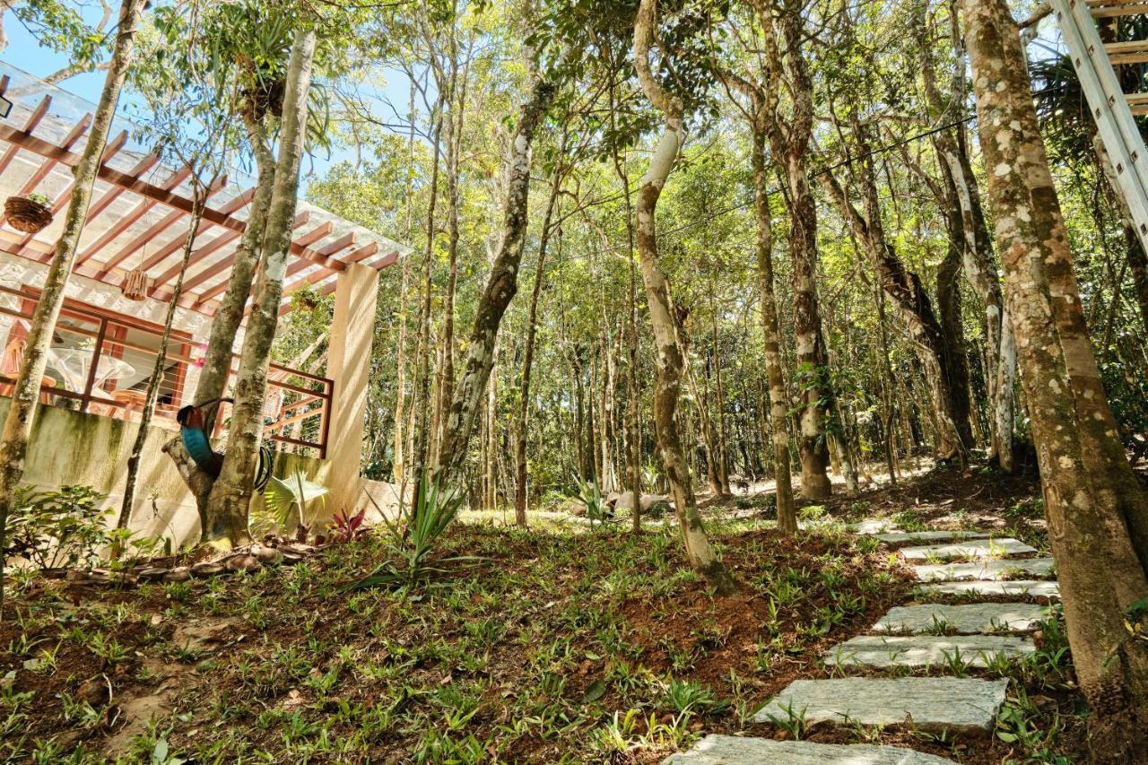 Casa Da Arvore - Refugio De Luxo Com Jacuzzi E Vista A Serra * Guaramiranga